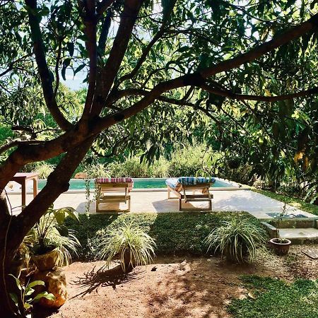 Shan Mango Homestay Sigiriya Bagian luar foto