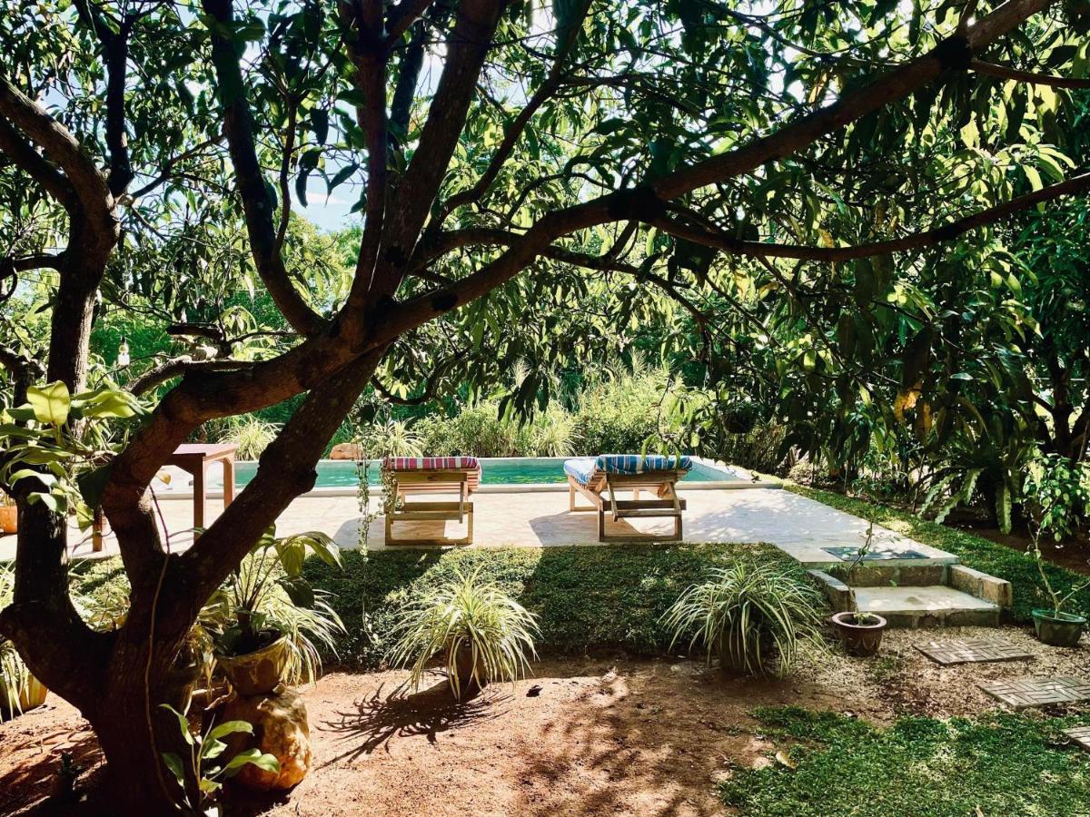 Shan Mango Homestay Sigiriya Bagian luar foto