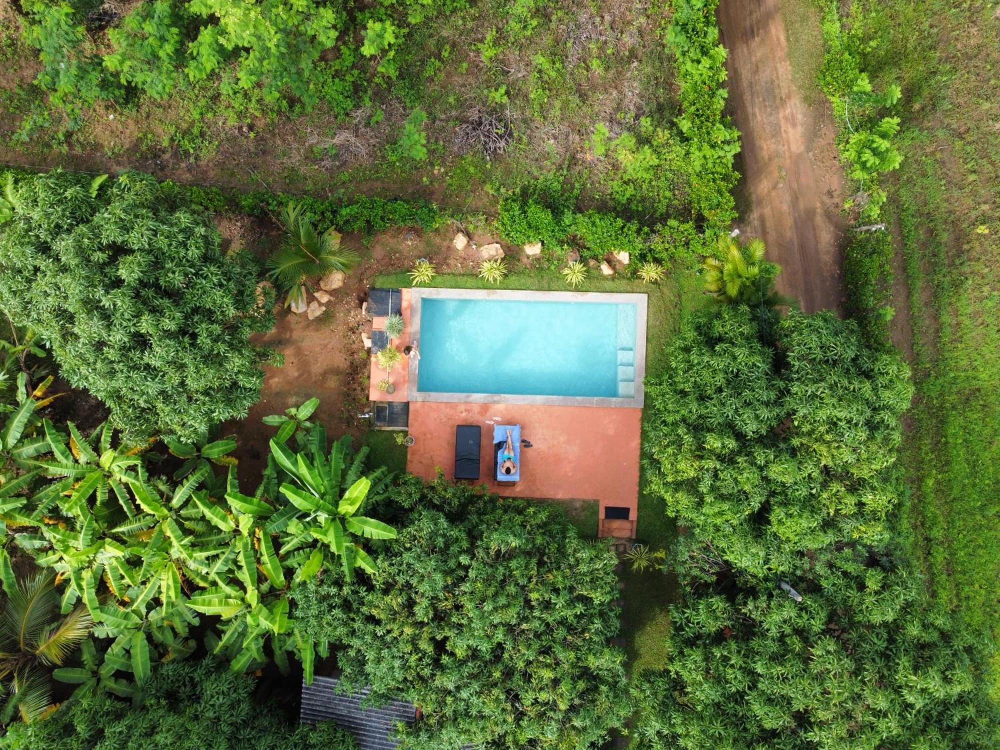 Shan Mango Homestay Sigiriya Bagian luar foto