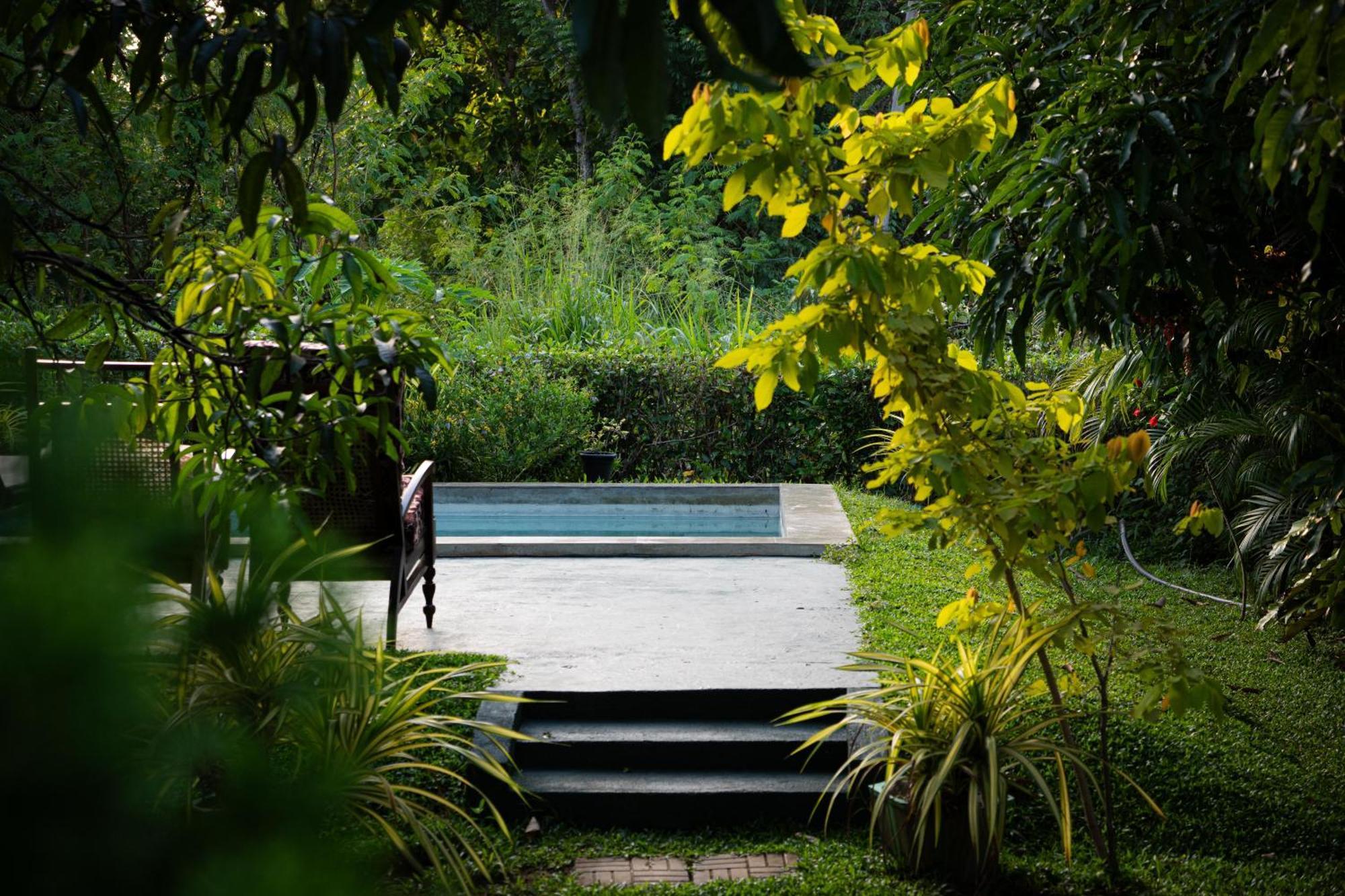 Shan Mango Homestay Sigiriya Bagian luar foto